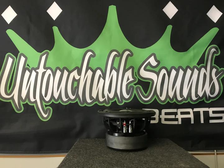 image_0534add4-d0f7-41bf-a3e8-e6d75216c561_720x Untouchable Sounds Prince Series subwoofer